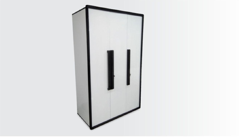Premium Solid Wood Almirah with Mirror
